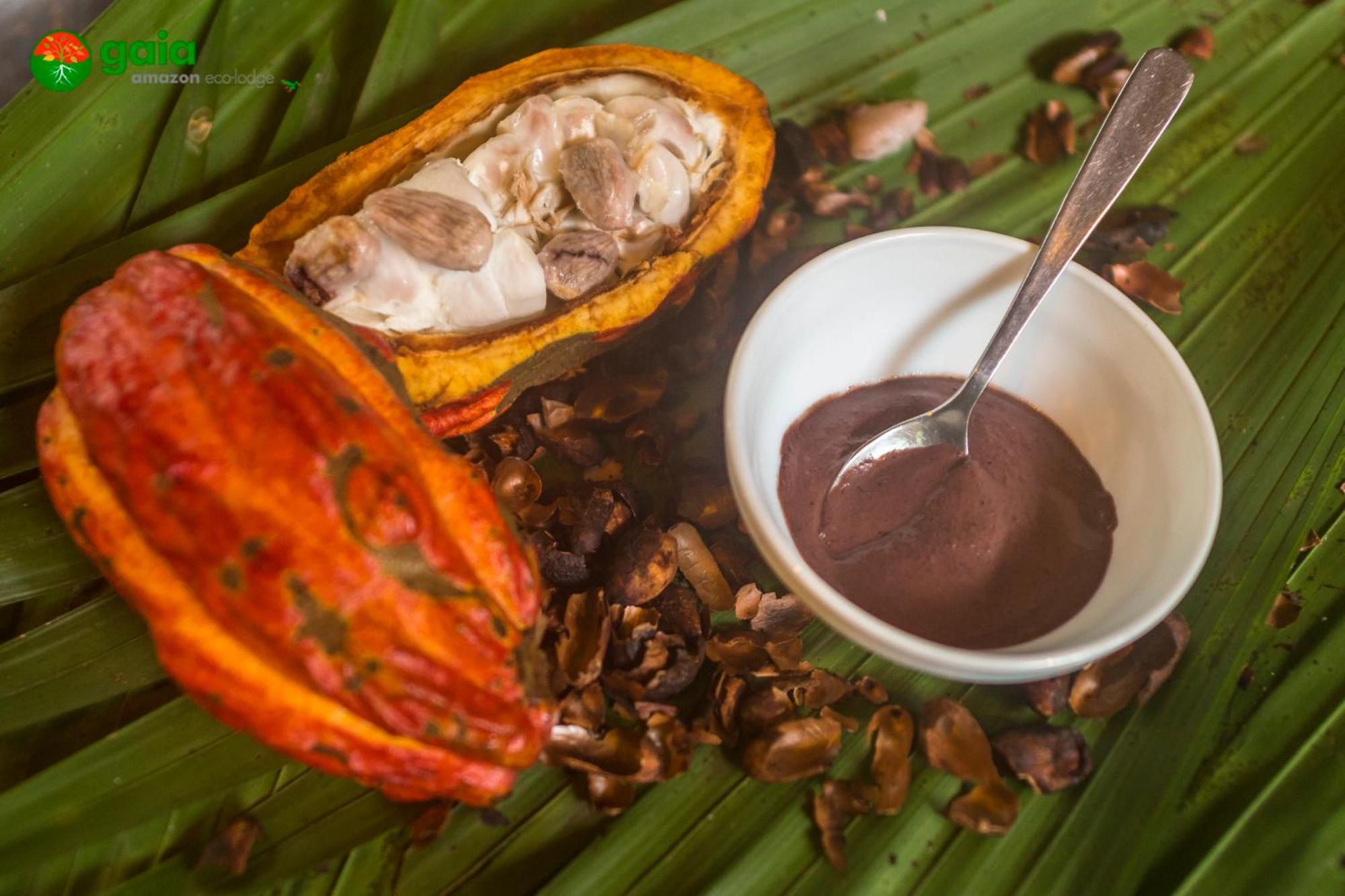 Gaia Amazon Eco Lodge Ahuano 外观 照片