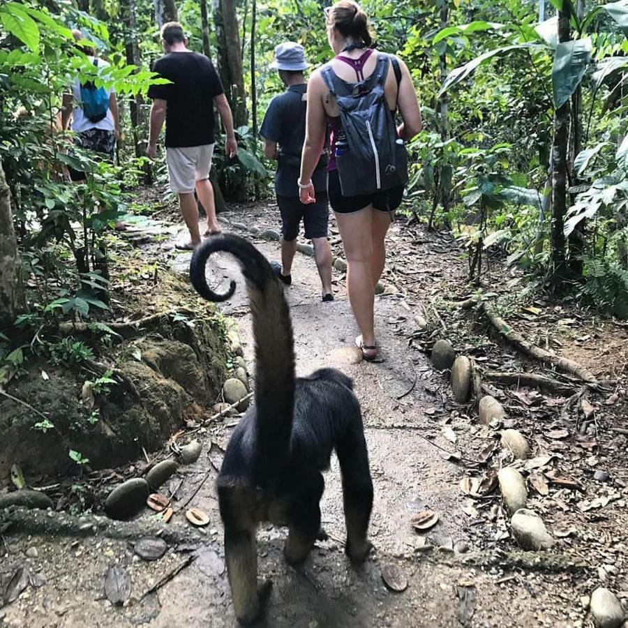 Gaia Amazon Eco Lodge Ahuano 外观 照片